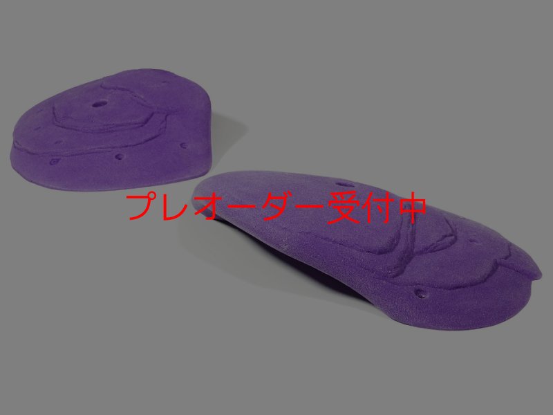 画像1: GR フレークス L1/プレオーダー (1)