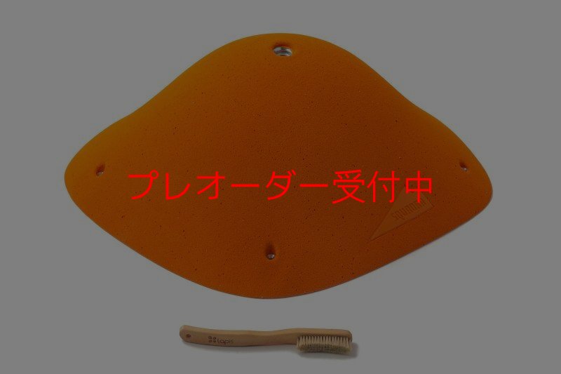 画像1: SQ Pure Rounded 04(PURE 32)/プレオーダー (1)