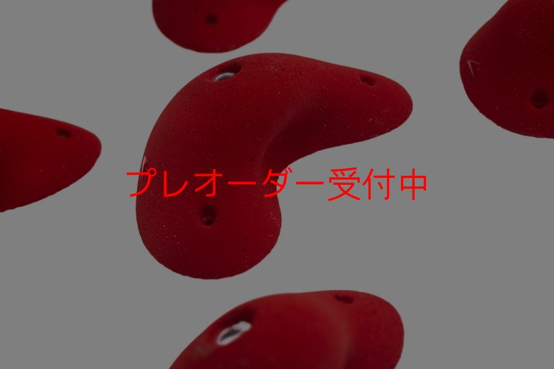 画像2: SQ Pure Rounded 09(PURE 30)/プレオーダー (2)