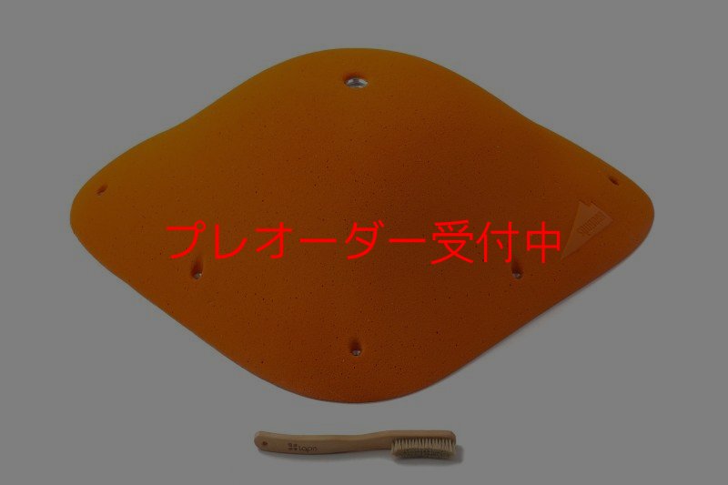 画像1: SQ Pure Rounded 05(PURE 33)/プレオーダー (1)