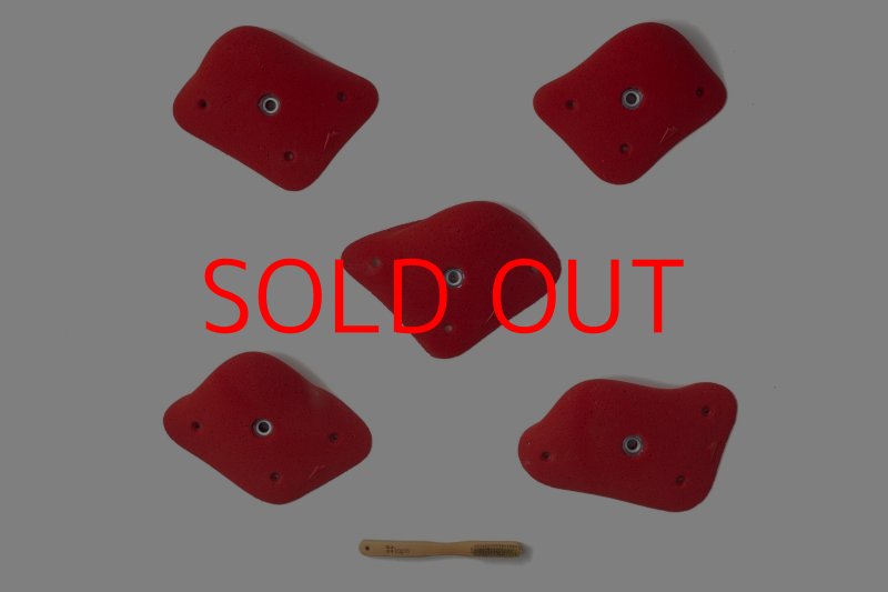 画像2: SQ マンタ 09 (2)