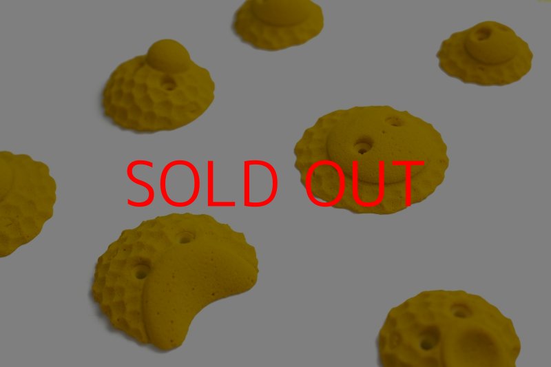 画像3: SQ　クライマックス19 　〜特別セール対象品50％OFF〜 (3)