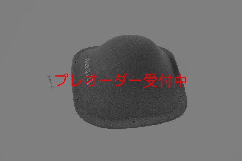 画像5: BP　ファイバー　インプレッション　12/プレオーダー (5)