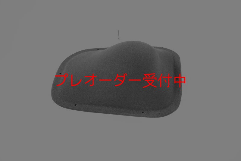 画像7: BP　ファイバー　インプレッション　12/プレオーダー (7)