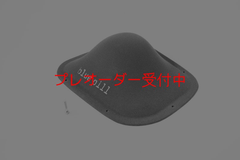画像4: BP　ファイバー　インプレッション　12/プレオーダー (4)