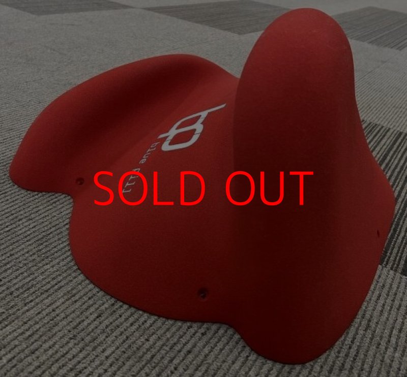 画像5: BP オリジナルス ファイバーグラス 4 (5)