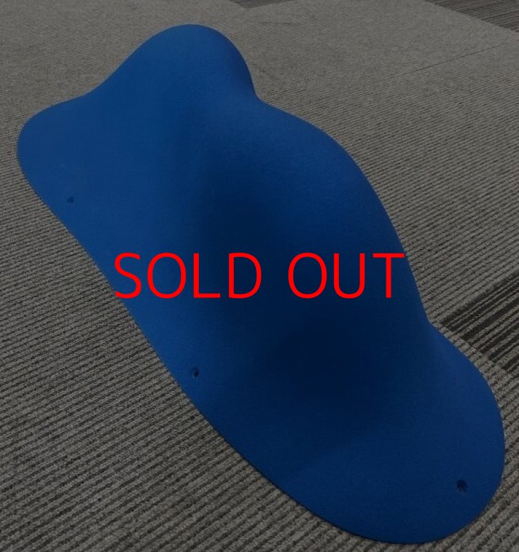 画像8: BP オリジナルス ファイバーグラス 8 (8)