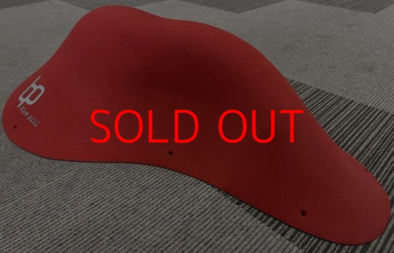 画像6: BP オリジナルス ファイバーグラス 10 (6)