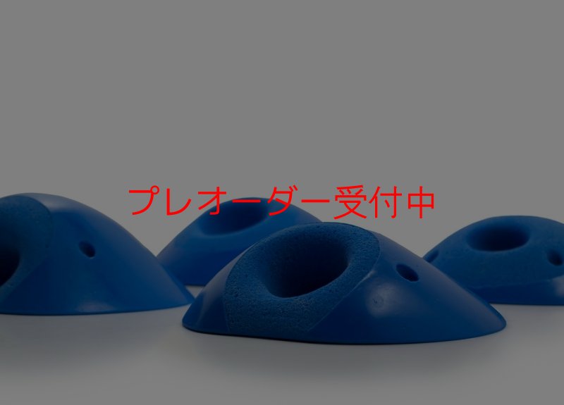 画像2: SQ Sick Pockets 10(Sick33)/プレオーダー (2)
