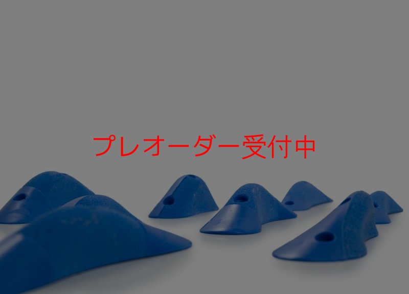 画像2: SQ Sick Pinches 07(Sick34)/プレオーダー (2)