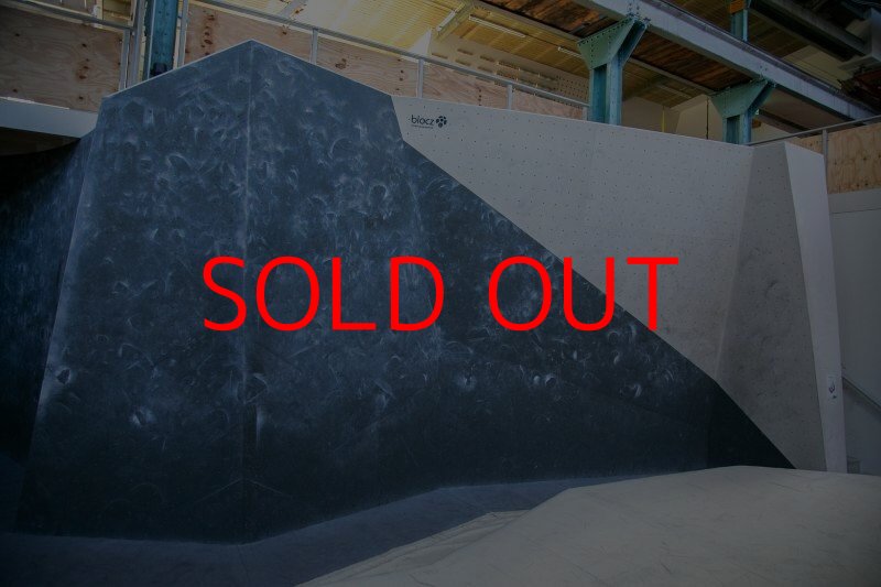 画像4: BP bluewash concetrate (4)