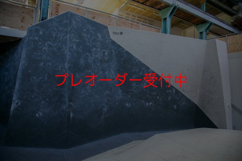 画像4: BP bluewash concetrate/プレオーダー (4)
