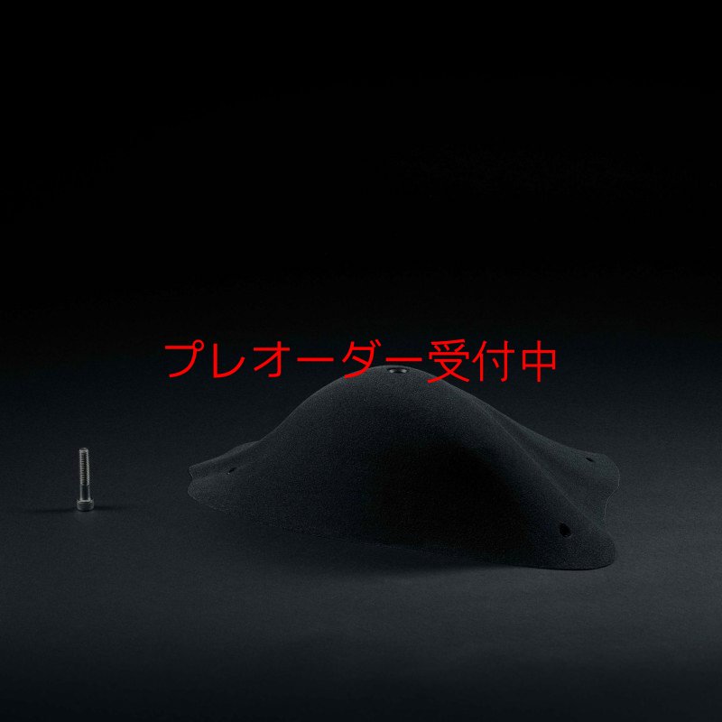 画像2: CP RI Sloper Big 2/プレオーダー (2)