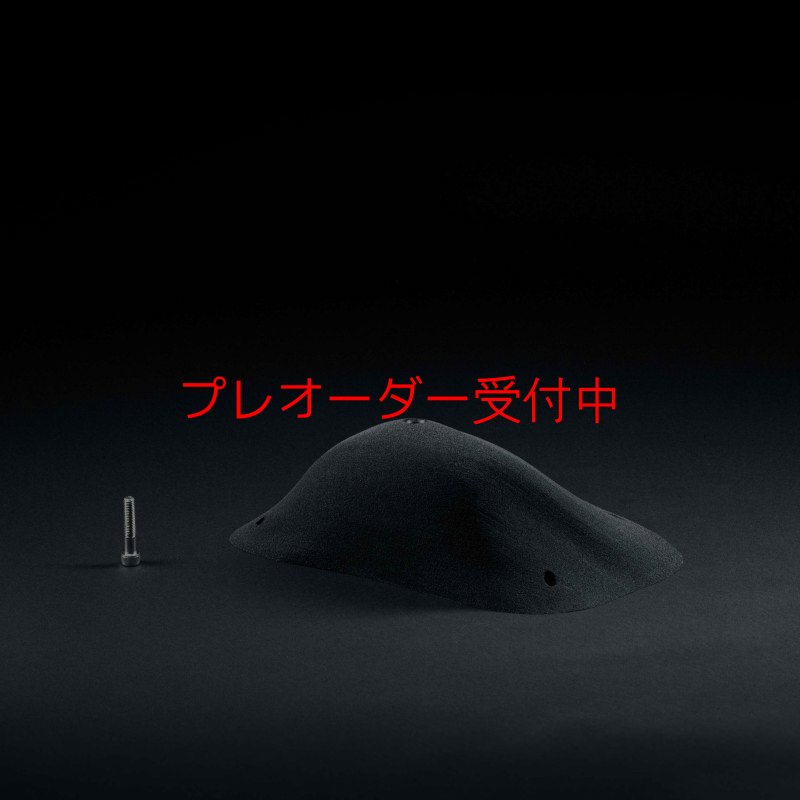 画像2: CP RI Sloper Big 1/プレオーダー (2)