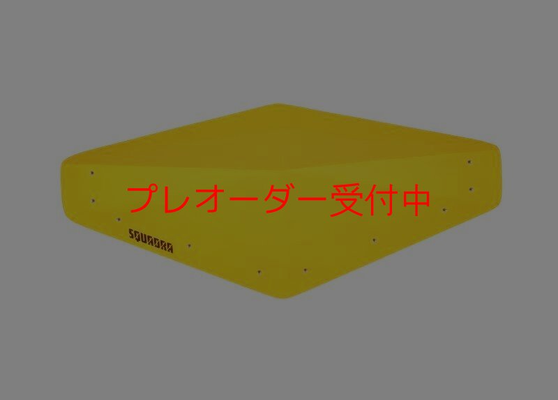 画像1: SQ　モリ　05/プレオーダー (1)