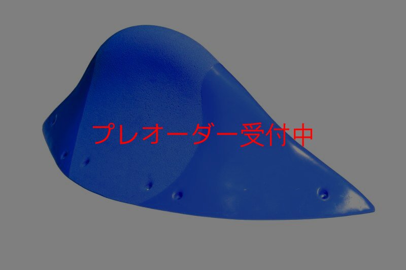 画像1: GR メリディアン 2/プレオーダー (1)