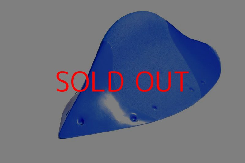 画像2: GR メリディアン 2 (2)