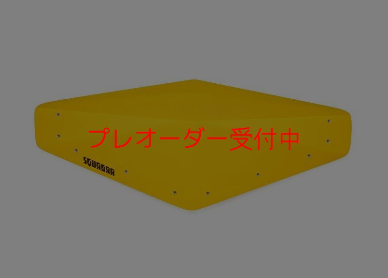 画像1: SQ　モリ　06/プレオーダー (1)
