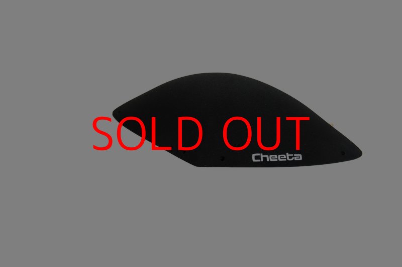 画像22: CT BoomRamp 1 (22)