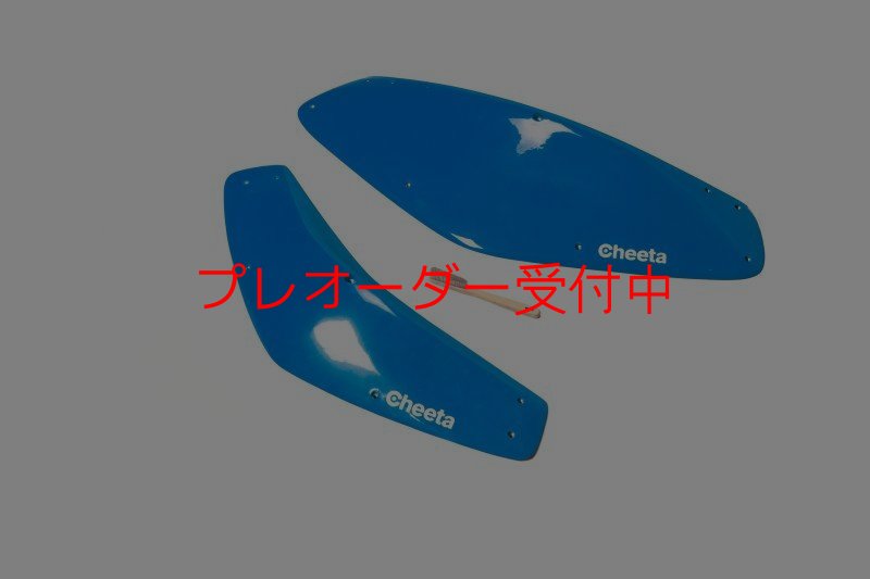 画像3: CT Boomerang 3 DT/プレオーダー (3)