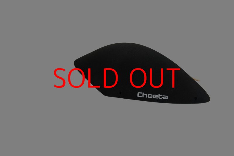 画像23: CT BoomRamp 1 (23)