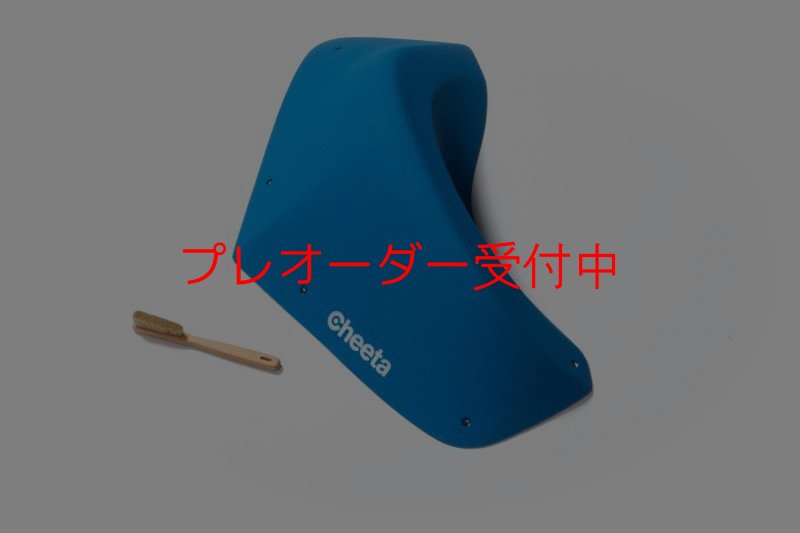 画像2: CT Odyssey 1/プレオーダー (2)
