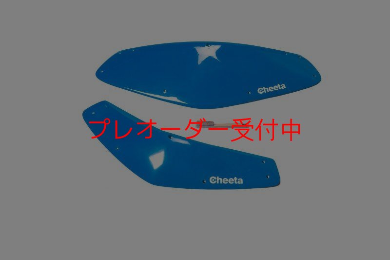 画像1: CT Boomerang 3 DT/プレオーダー (1)