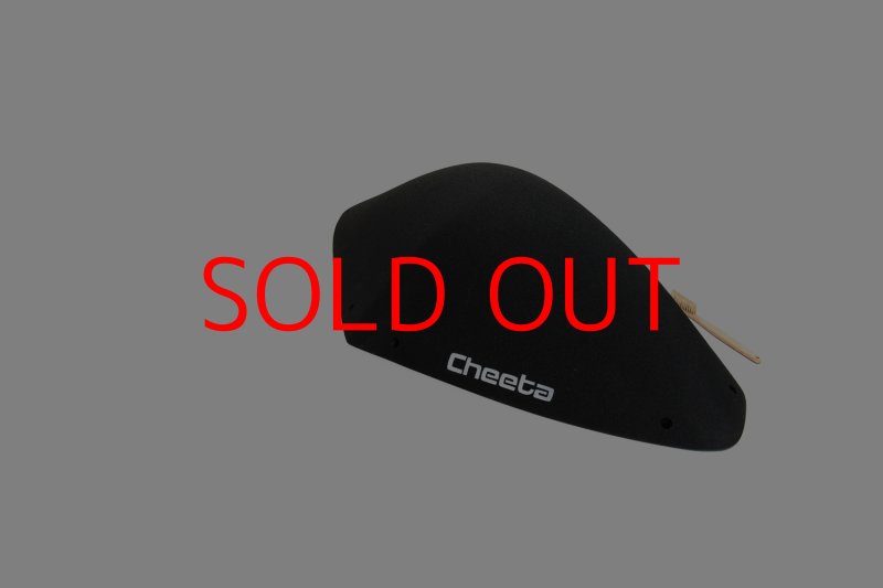 画像25: CT BoomRamp 1 (25)