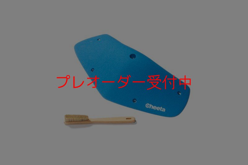画像3: CT Odyssey 15/プレオーダー (3)