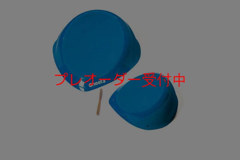 画像6: CT Taji 1 SM DT/プレオーダー (6)
