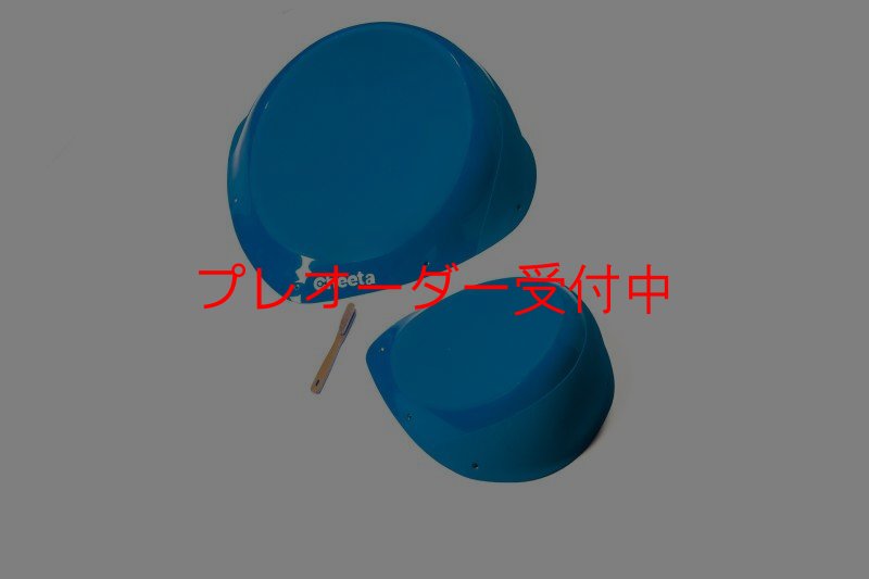 画像7: CT Taji 1 SM DT/プレオーダー (7)