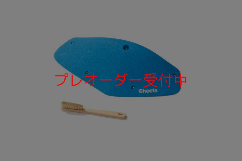 画像6: CT Odyssey 14/プレオーダー (6)