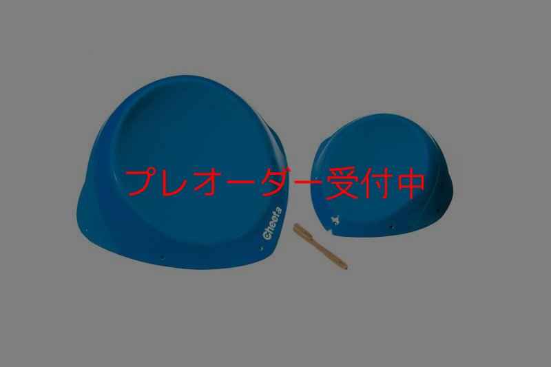 画像1: CT Taji 1 SM DT/プレオーダー (1)