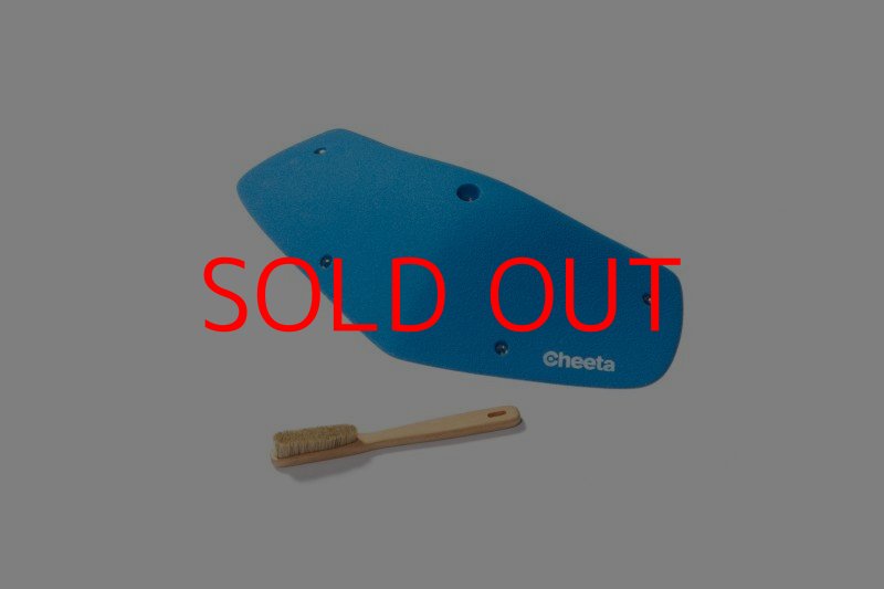 画像2: CT Odyssey 15 (2)