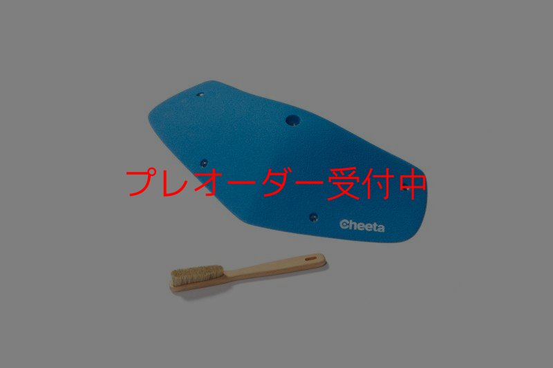 画像2: CT Odyssey 15/プレオーダー (2)