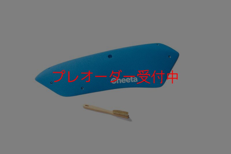画像3: CT Stadium 9/プレオーダー (3)