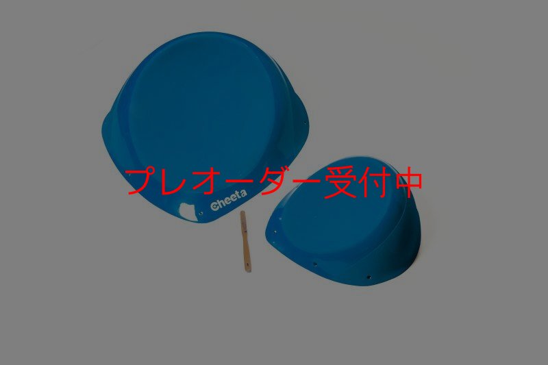 画像5: CT Taji 1 SM DT/プレオーダー (5)
