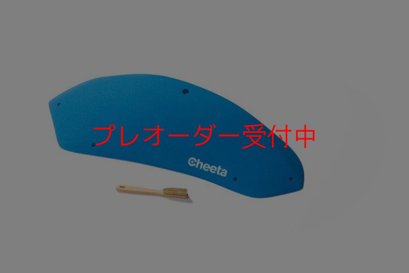 画像5: CT Stadium 5/プレオーダー (5)