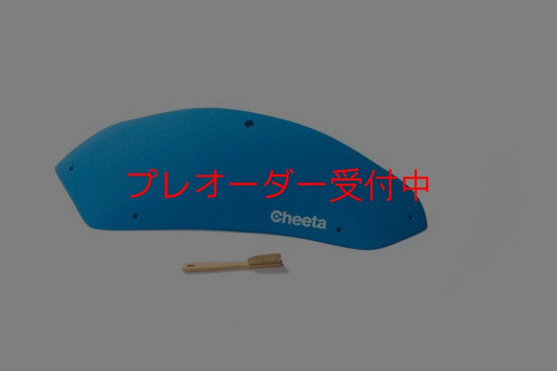 画像4: CT Stadium 5/プレオーダー (4)