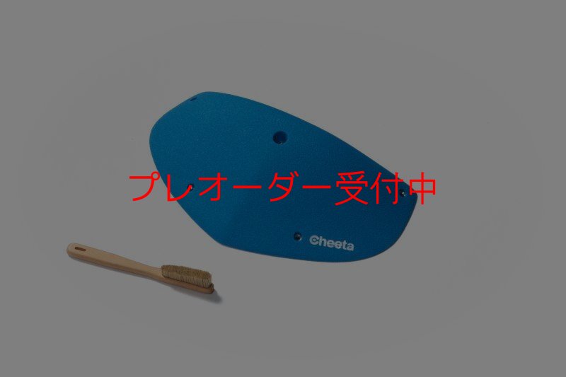 画像2: CT Odyssey 9/プレオーダー (2)