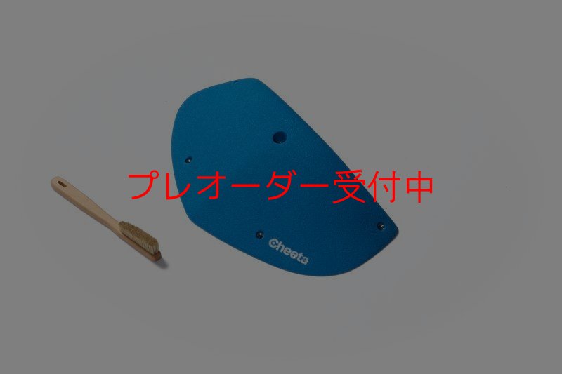 画像4: CT Odyssey 9/プレオーダー (4)