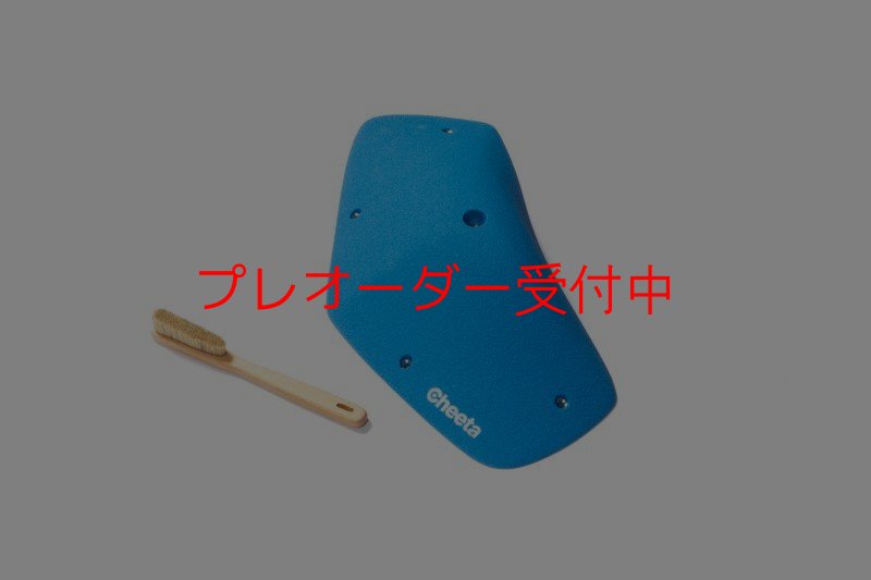 画像6: CT Odyssey 15/プレオーダー (6)