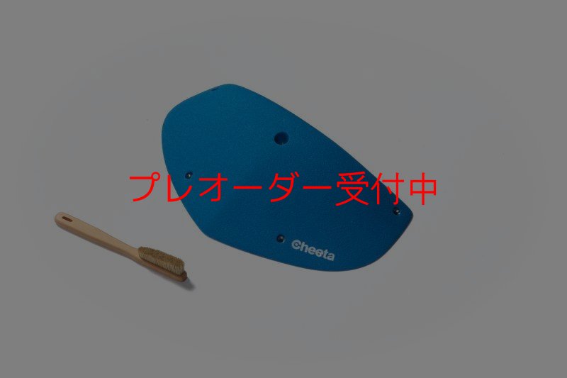 画像3: CT Odyssey 9/プレオーダー (3)