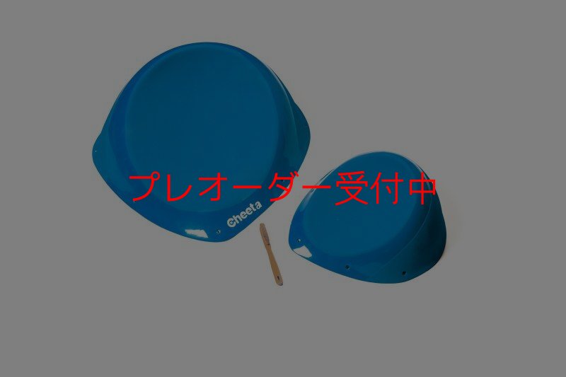 画像4: CT Taji 1 SM DT/プレオーダー (4)