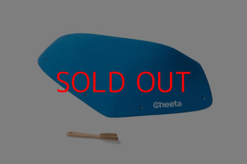 画像21: CT Odyssey 2 (21)