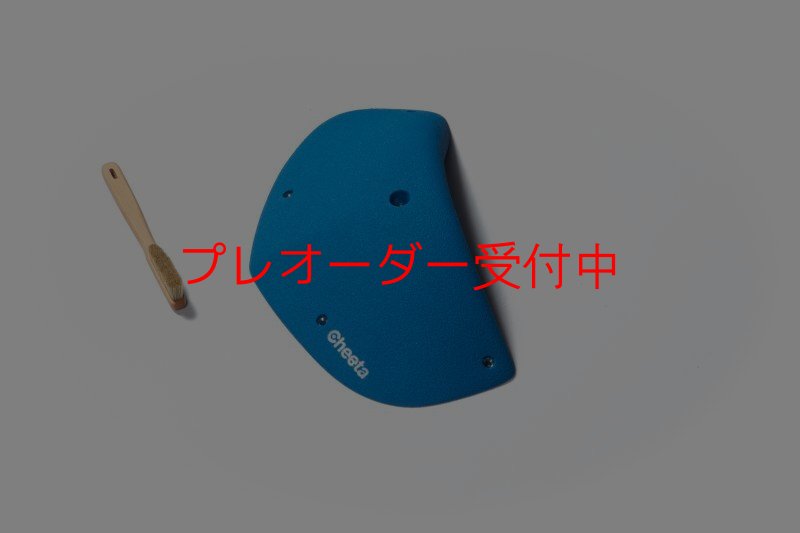 画像6: CT Odyssey 9/プレオーダー (6)