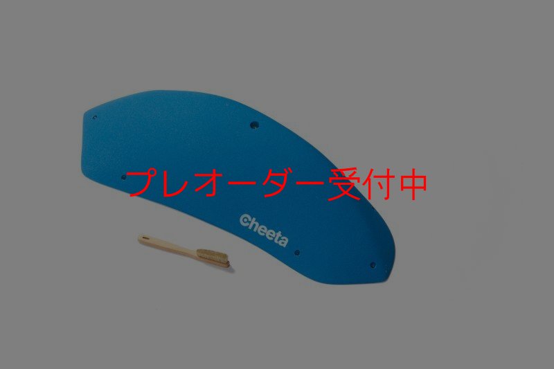 画像6: CT Stadium 5/プレオーダー (6)
