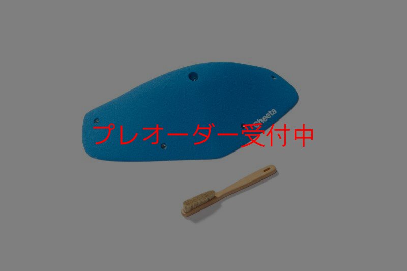 画像2: CT Odyssey 14/プレオーダー (2)