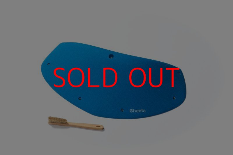 画像14: CT Odyssey 10 (14)