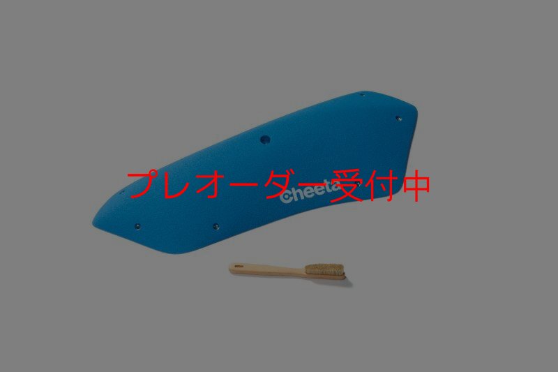 画像2: CT Stadium 9/プレオーダー (2)